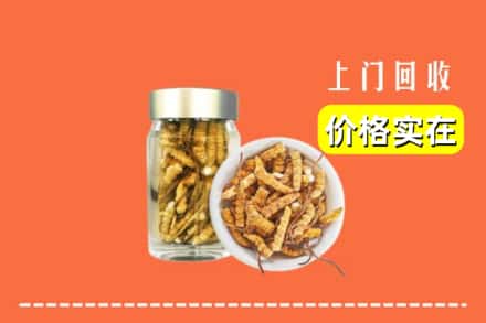 镶黄旗回收散虫草