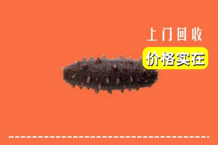 镶黄旗回收海参