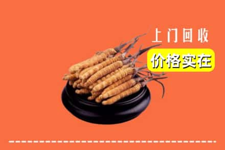 镶黄旗回收冬虫夏草